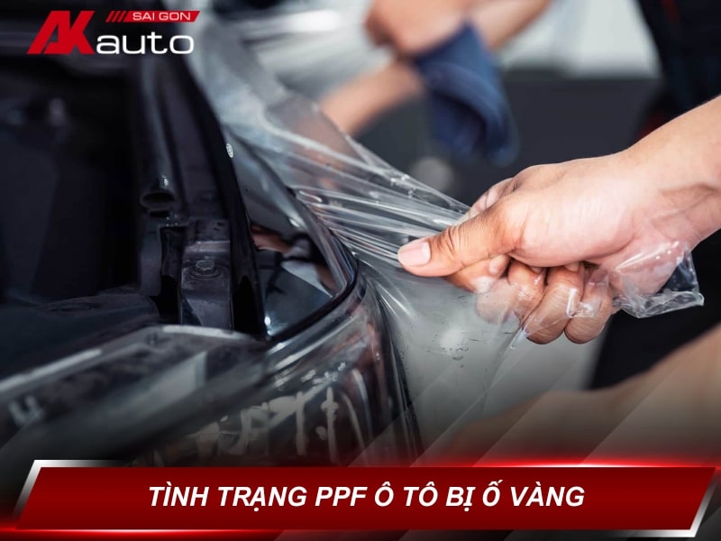 PPF bị ố vàng