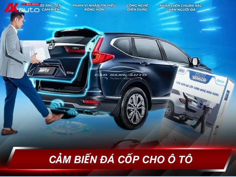 Cảm Biến Đá Cốp Ô Tô