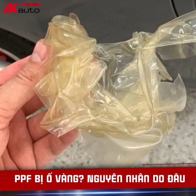 PPF Bị Ố Vàng