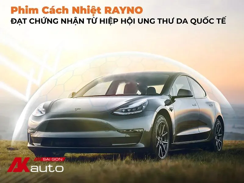 Phim Rayno chất lượng Mỹ nhưng mức giá tốt