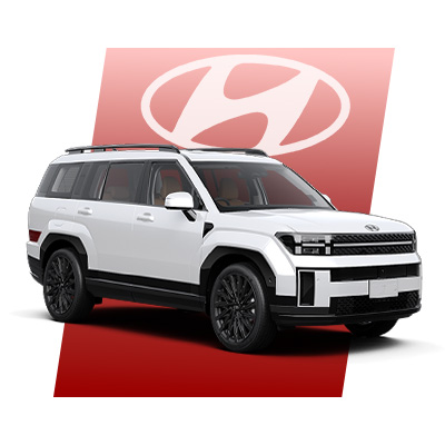 Phụ Kiện Ô Tô Hyundai Santafe - AKauto